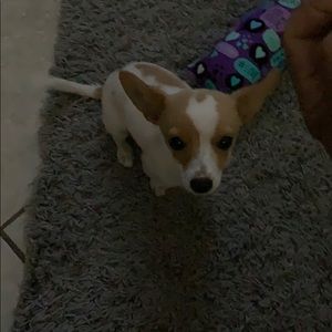 Meet your Posher, Enrique